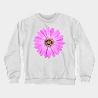 Purple African Daisy Flower Crewneck Sweatshirt